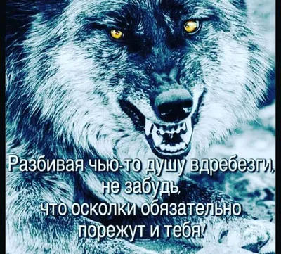 Жопка жабки» и «кровавый Сталин»: кто такой лейтенант Пидоренко и зачем  читать его стихи? — Teletype