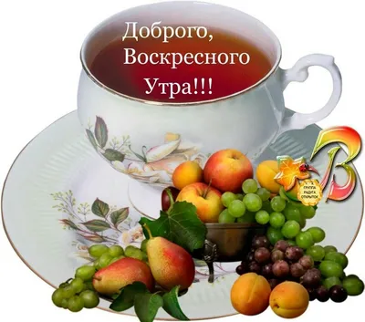 Вербное воскресенье: Как провести праздник, что надо делать с вербой, а что  делать нельзя - Российская газета