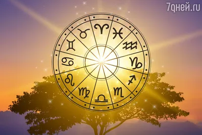 Время чудес: как летнее солнцестояние 21 июня перевернет жизнь каждого  знака зодиака - 7Дней.ру