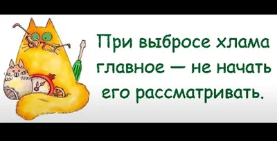 Если после выходных не понедельник, а сразу вторник, то гораздо веселее  идти на работу...)) | Житейские радости | Дзен