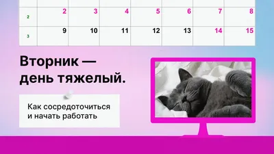 Декрет № 3. Комиссия продолжает работу | Новости района | | Берестовицкий  район | Берестовица | Берестовицкий райисполком | Новости Берестовицкого  района