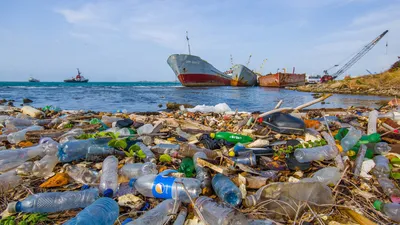 Названы возможные причины загрязнения воды на Камчатке :: Новости :: ТВ  Центр