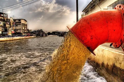 Последствия загрязнения воды