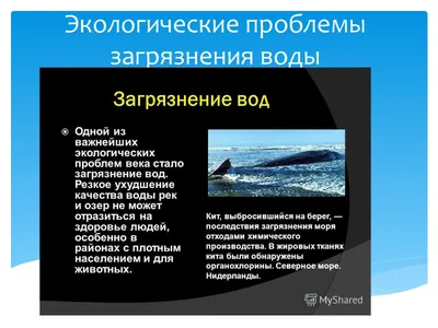 Охрана воды от загрязнения: как спасти планету от жажды: Статьи экологии  ➕1, 