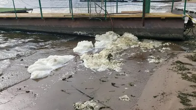 Масштабное загрязнение воды и воздуха в Дагестане – Росприроднадзор уличили  в бездействии - РИА Дербент