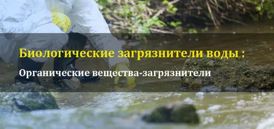 В РАН озвучили основную версию загрязнения воды в Авачинском заливе на  Камчатке (Upd.)