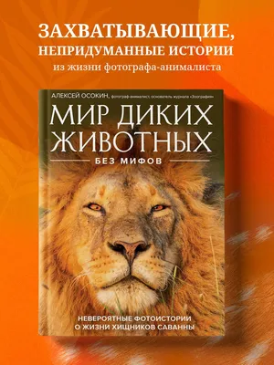 Учу дома: ДИДАКТИЧЕСКИЕ КАРТОЧКИ "ДИКИЕ ЖИВОТНЫЕ АФРИКИ И ИХ ДЕТЁНЫШИ"