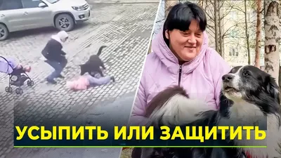 Детские сказки со смыслом `Сказки про животных` Эмоциональные сказки для  детей (ID#1796642125), цена: 251 ₴, купить на 