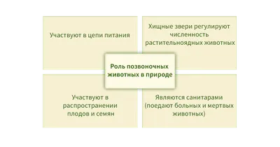 Библиотека Русского географического общества: Акклиматизация животных и ее  хозяйственное значение