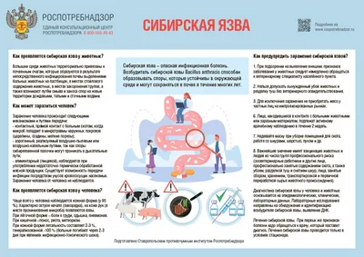 Pro Plan сухой корм для взрослых стерилизованных кошек и кастрированных  котов, с высоким содержанием индейки - 7 кг - купить в Москве | КотМатрос