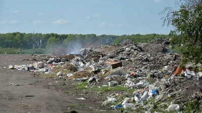 Экология. Как решится проблема мусора в обществе будущего? | Гроздья гнева  | Дзен