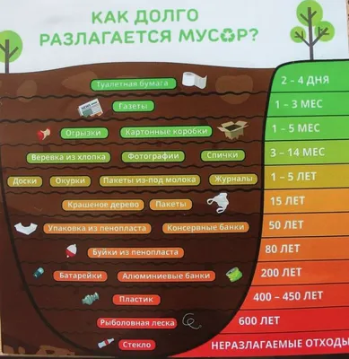 Для мусора закон писан, но не читан: почему в Алматы не решают проблемы с  отходами