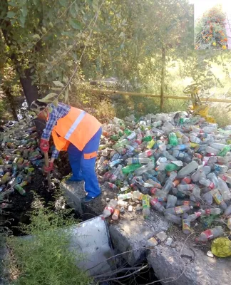 Как в Шымкенте будут решать проблему переработки и сортировки мусора —  Новости Шымкента