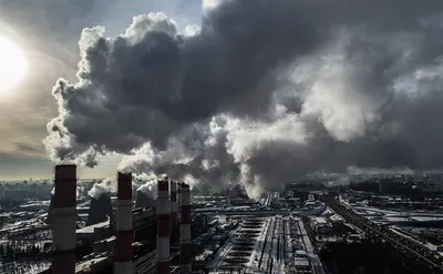 Экологические проблемы 2023 | 7Дней.ru