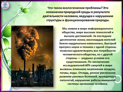 11 глобальных экологических проблем и пути их решения 2024-2025: какие  возникают и существуют, основные причины появления в современном мире