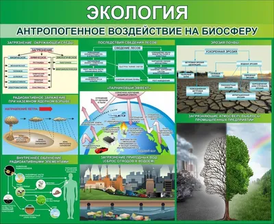 Стенд Современные проблемы экологии: купить для школ и ДОУ с доставкой по  всей России