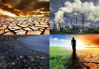 Всемирные экологические проблемы. | Сайт объявлений  | Дзен