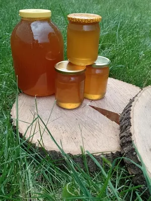 Натуральный мед продам в Спб, купить мед натуральный с пасеки