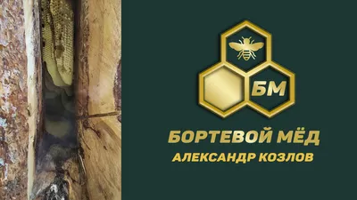 Мед продам, 900 кг подсолнух, 1200 кг разнотравье. - Покупка/продажа  продуктов пчеловодства (мед, пыльца, Маточное молоко, и т.д.) Архив - Форум  на ТочкУ