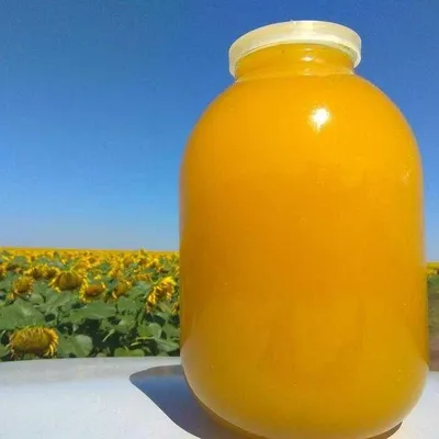 Куплю-продам мёд, на Яндекс Дзен | БОРТНИК | Дзен