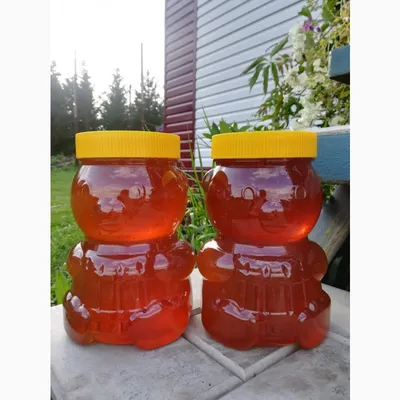 Продам мед Алтайский с собственной пасеки - Урожай 2020, Мед — 
