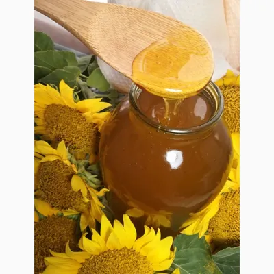 Мед вошел в ТОР-3 продуктов, которые чаще всего подделывают - Новини АПК |  Головні фермерські новини України
