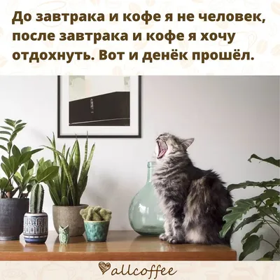 Картинка: с Добрым утром! "Желаю продуктивного дня..." • Аудио от Путина,  голосовые, музыкальные