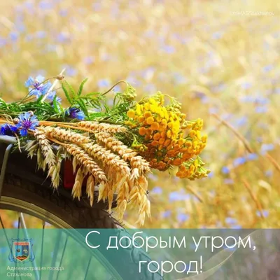 Доброе утро, Стаханов!. Желаем всем продуктивной недели #Стаханов  #новости_Стаханова #АдминистрацияГорода @AGStakhanov - Лента новостей ЛНР