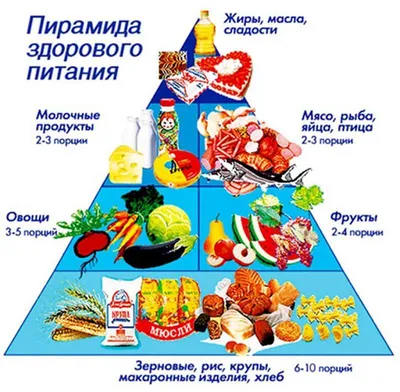 Лексико-грамматическое занятие для детей 4-5 лет с ТНР на тему «Продукты  питания». | Логопед Шамагина Ольга | Дзен