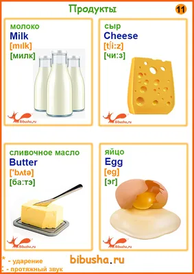 Обучающий плакат "Продукты питания на английском языке" А4 (2496837) -  Купить по цене от  руб. | Интернет магазин 