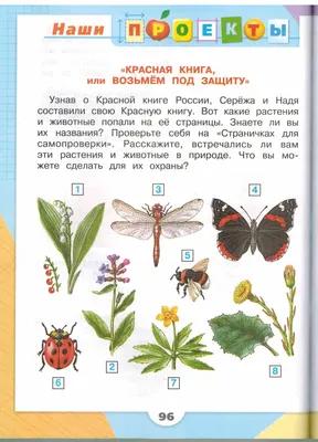 Образовательный блог Сапелиной Ольги Юрьевны : Проекты по окружающему миру