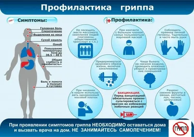 Профилактика гриппа и ОРВИ, польза вакцинопрофилактики, полезные продукты  для долгой и здоровой жизни