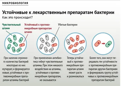 Профилактика инсульта — Профилактика заболеваний и ЗОЖ — Бюджетное  учреждение Ханты-Мансийского автономного округа - Югры - «Сургутская  городская клиническая поликлиника №1»