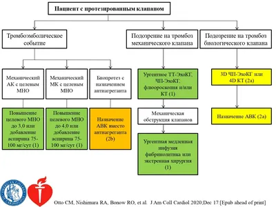 Профилактика инсульта | Конаковский муниципальный округ Тверской области