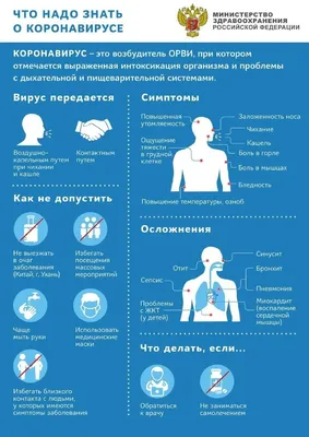 Профилактика гриппа, ОРВИ и новой коронавирусной инфекции