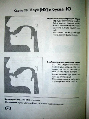 Персональный сайт учителя-логопеда Макаровой Евгении - Речевые профили