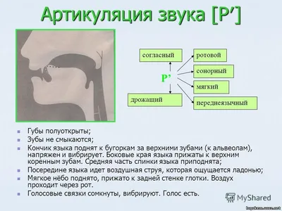 Артикуляция звуков в графическом изображении. Учебно-демонстрационный  материал | Дефектология Проф