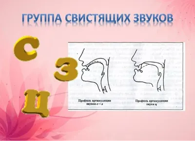 Фонетические условия образования гласных и согласных звуков и их уче