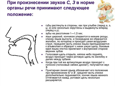 Внешние проявления артикуляции гласных звуков речи | Александр Макеев | Дзен