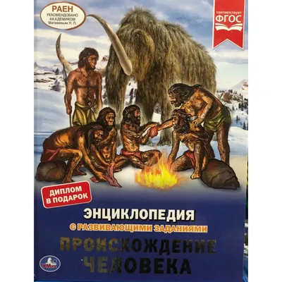 Теории происхождения человека: Дарвина (от обезьяны), божественная (Бог  творец), космическая (НЛО). Какую из них Вы поддерживаете и почему? |  Политика и жизнь | Дзен