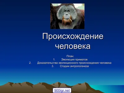 Эволюция человека. История и теория – тема научной статьи по истории и  археологии читайте бесплатно текст научно-исследовательской работы в  электронной библиотеке КиберЛенинка