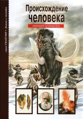 Происхождение человека | Рябинина Ирина Валентиновна - купить с доставкой  по выгодным ценам в интернет-магазине OZON (307907851)