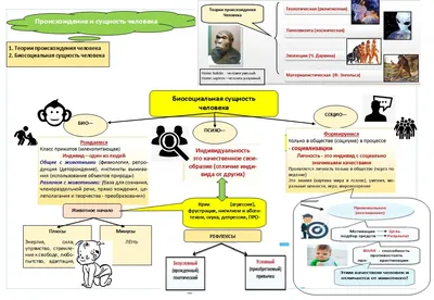 Происхождение человека лекция по истории | Конспекты лекций История |  Docsity