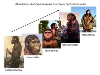 Теории происхождения человека: Дарвина (от обезьяны), божественная (Бог  творец), космическая (НЛО). Какую из них Вы поддерживаете и почему? |  Политика и жизнь | Дзен