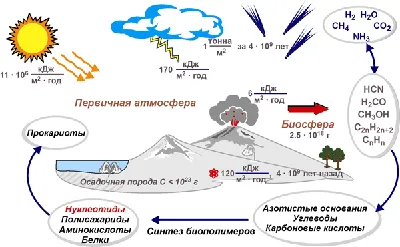 Происхождение жизни на земле картинки