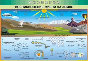 Таблица "Возникновение жизни на земле" (100х140 сантиметров, винил) купить,  цена