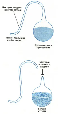 Гипотезы происхождения жизни на Земле - ЯПлакалъ