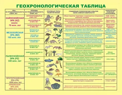 Происхождение жизни на Земле: доказанная теория или нераскрытая тайна - РИА  Новости, 