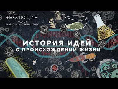 Таблица развития жизни на Земле и ее особенности становления организмов