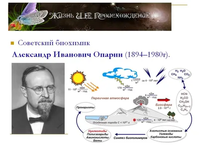 Теории зарождения жизни на Земле реферат по биологии | Сочинения Биология |  Docsity